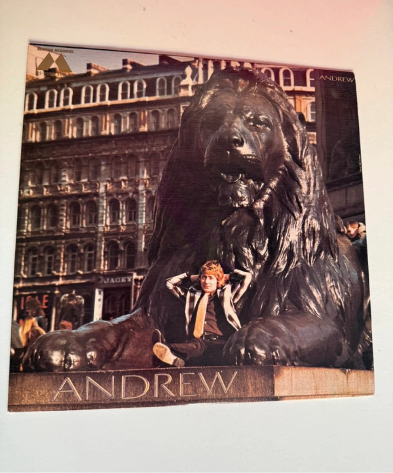 Vinilo Andrew - International Pop Rock